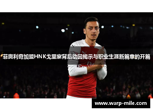 菲奥利奇加盟HNK戈里察背后动因揭示与职业生涯新篇章的开篇