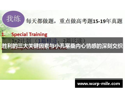 胜利的三大关键因素与小孔塞桑内心情感的深刻交织