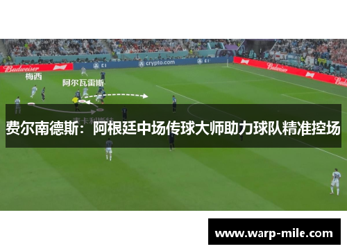 费尔南德斯：阿根廷中场传球大师助力球队精准控场