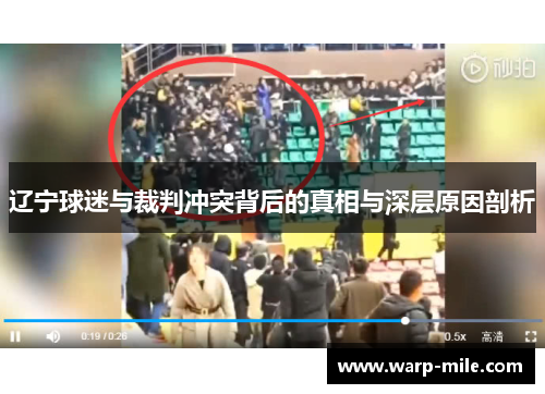 辽宁球迷与裁判冲突背后的真相与深层原因剖析